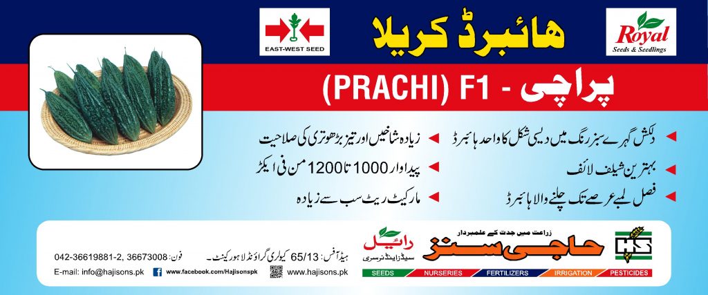 004 Prachi Flex.fh6 FNF