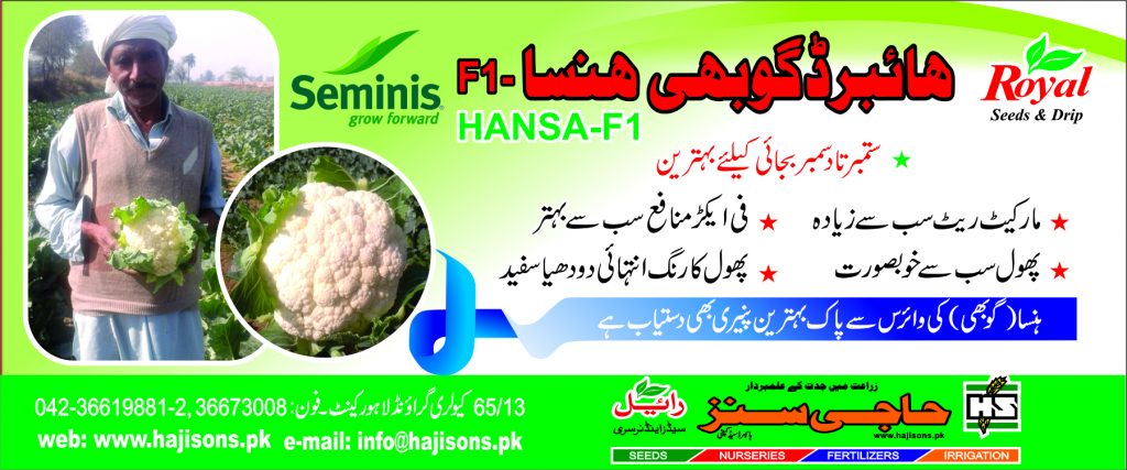 2016. HANSA CAULIFLOWER FLEX 070916