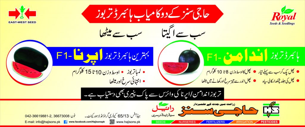 Andaman & Aparna Flex6 FNF