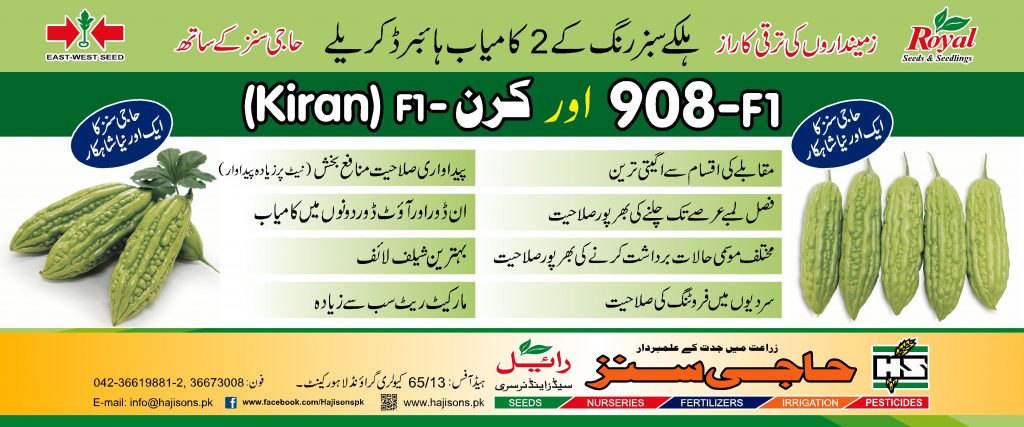 KIRAN+908 DESIGN4 FNF